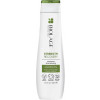 Matrix Biolage Strenght Recovery Shampoo - Шампунь для укрепления поврежденных волос