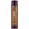 Joico Color Infuse&Balance Brown Conditioner - Коричневый оттеночный кондиционер