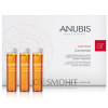 Anubis Red Seaweed Anti-Cellulite Modelling Concentrate - Антицеллюлитный моделирующий концентрат