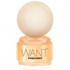 Dsquared2 Want - Парфюмированная вода (тестер)