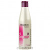 Salerm Shampoo Hi-Repair 01 - Шампунь для антивозрастного восстановления структуры волос