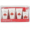 Greenland Fruit Extracts Raspberry - Набор для путешествий Малина