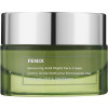 Beauty Spa Fenix Cream - Ночной кислотный обновляющий крем для всех типов кожи лица
