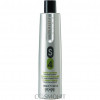 Echosline S4 Anti-Dandruff Shampoo - Шампунь против перхоти