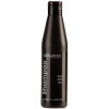 Salerm Shampoo Color Negro - Оттеночный шампунь для волос (черный)