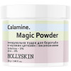 Hollyskin Calamine. Magic Powder - Очищающая пудра для борьбы с черными точками и высыпаниями