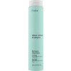 Erayba ABH Detox Refresh Shampoo - Шампунь для волос глубоко очищающий