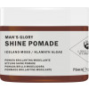 Nook Dear Beard Man's Glory Shine Pomade - Помада для укладки с блеском