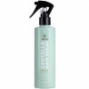 Bogenia Professional Centella Hair Spray - Термозащитный спрей для волос с центеллой