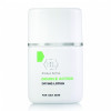 Holy Land Double Action Drying Lotion - Подсушивающий лосьон