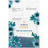 Sesderma Beauty Treats Purifying Therapy Mask - Очищающая маска для лица