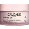 Caudalie Resveratrol Lift Firming Cashmere Cream - Укрепляющий дневной крем-кашемир