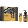 Proraso Wood And Spice Beard Care Set - Подарочный набор для ухода за бородой