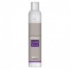 Metamorphose Controll Style Styling Spray - Лак для волос легкой фиксации