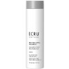 Ecru New York Rejuvenating Shampoo - Восстанавливающий и омолаживающий шампунь для волос