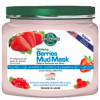 Hollywood Style Exfoliating Berries Mud Mask - Отшелушивающая грязевая маска с ягодами