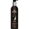 Angel Professional Black Angel Oil Control and Dandruff Shampoo - Шампунь от перхоти для жирных волос с экстрактом периллы