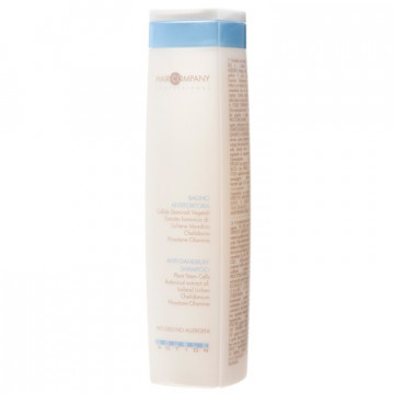 Купить - Hair Company Double Action Anti-Dandruff Shampoo - Шампунь против перхоти
