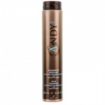 Купить - Dikson Andy Repair Shampoo 1000 мл - Шампунь для окрашенных, химически обработанных волос