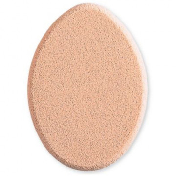 Купить - Shiseido Sponge Puff for Stick Foundation - Универсальный спонж