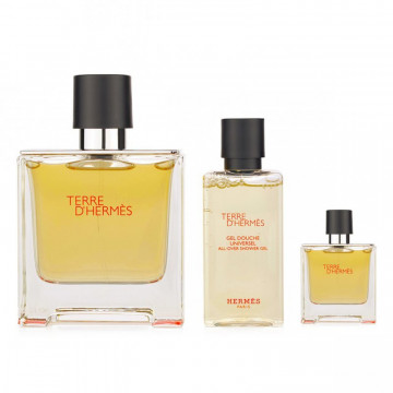 Купить - Hermes Terre D'Hermes - Подарочный набор (EDT100 + EDTmini12.5 + S/G40)