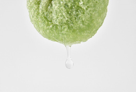 Erborian Green Tea Konjac Sponge - Спонж конняку с зеленым чаем - 4