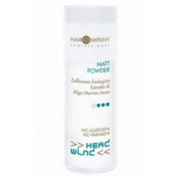 Hair Company Head Wind Matt Powder - Моделирующая пудра для волос