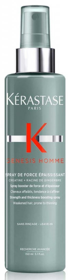 KERASTASE Genesis Homme Spray de Force Epaississant - Спрей-бустер для укрепления и уплотнения волос у мужчин