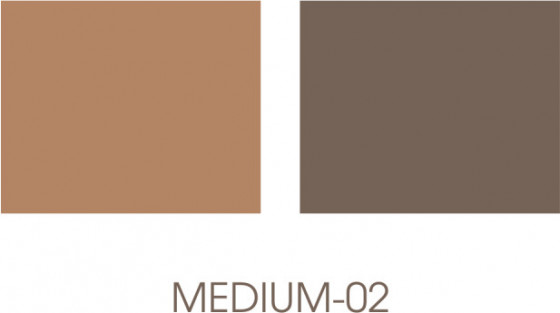 Pastel Profashion Duo Eyeshadow - Тени для бровей - 2