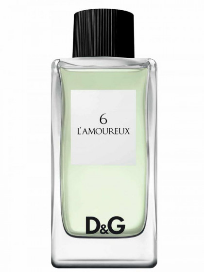 Dolce & Gabbana Anthology L`Amoureux 6 - Туалетная вода (тестер)