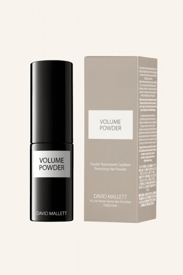 David Mallett Volume Hair Powder - Пудра для придания объема волосам - 1