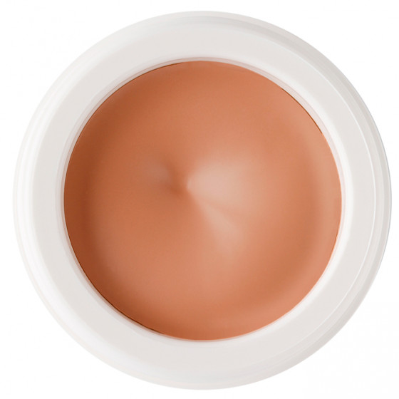 Christina Rose De Mer 5 Post Peeling Cover Cream - Постпилинговый тональный защитный крем для лица - 4