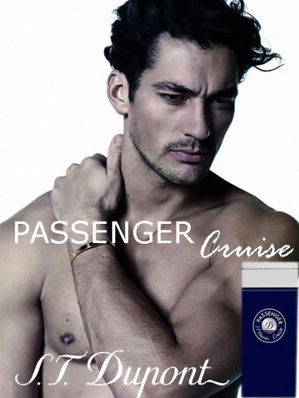 Dupont Passenger Cruise Pour Homme - Туалетная вода (тестер) - 1