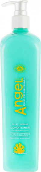 Angel Professional Dual Repair Conditioner - Кондиционер двойного действия для восстановления и питания поврежденных волос