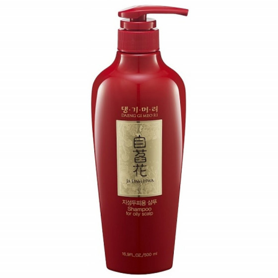 Daeng Gi Meo Ri Ja Dam Hwa Shampoo for Oily Scalp - Шампунь для жирной кожи головы 