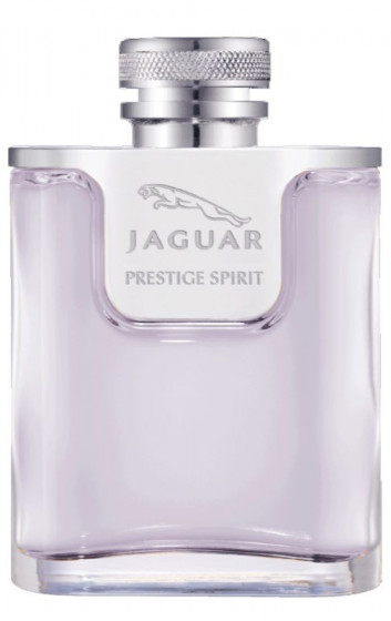 Jaguar Prestige Spirit - Набор (EDT100+ручка) - 1