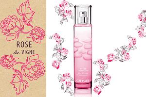 Rose de Vigne — ароматное сочетание божественных роз и жизнерадостного винограда от Caudalie (Кодали)