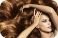 Линия Energy – энергия и сила для ослабленных и сухих волос от Biomed Hairtherapy