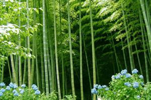 Домашний текстиль из бамбука