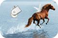 Аромат Voyage D'Hermes – гармония контрастов от Hermes (Эрмес)