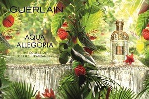 Aqua Allegoria Limon Verde – ароматное наслаждение коктейлем кайпиринья от Guerlain (Герлен)
